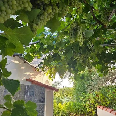 Casa Aventura Maison d'hôtes 4*