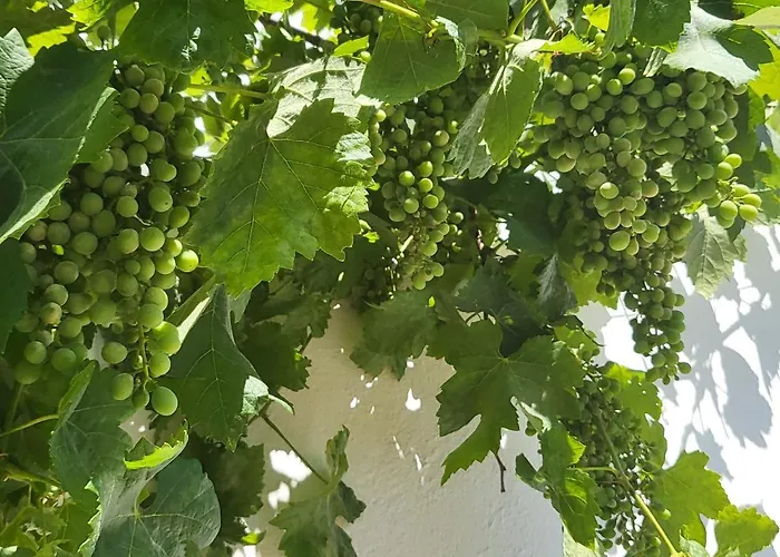 Πανσιόν Casa Aventura