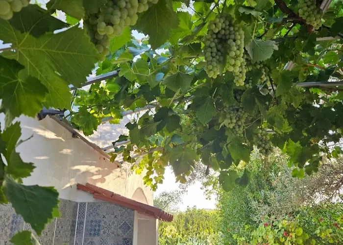 Casa Aventura Πανσιόν 3*