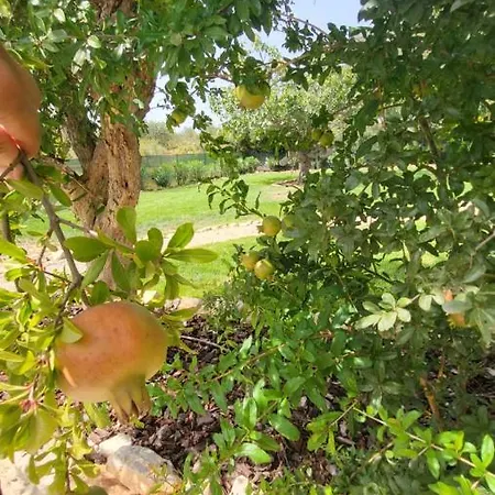 Gæstehus Casa Aventura