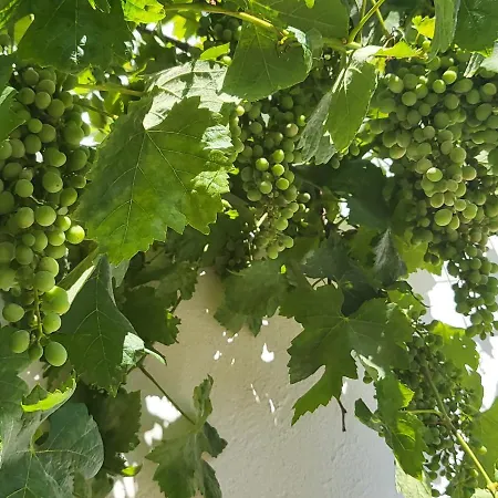 Gæstehus Casa Aventura